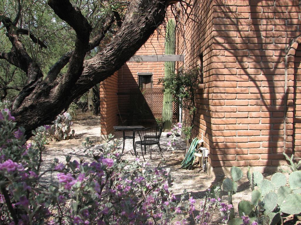 Desert Trails Bed&Breakfast Tanque Verde Zimmer foto