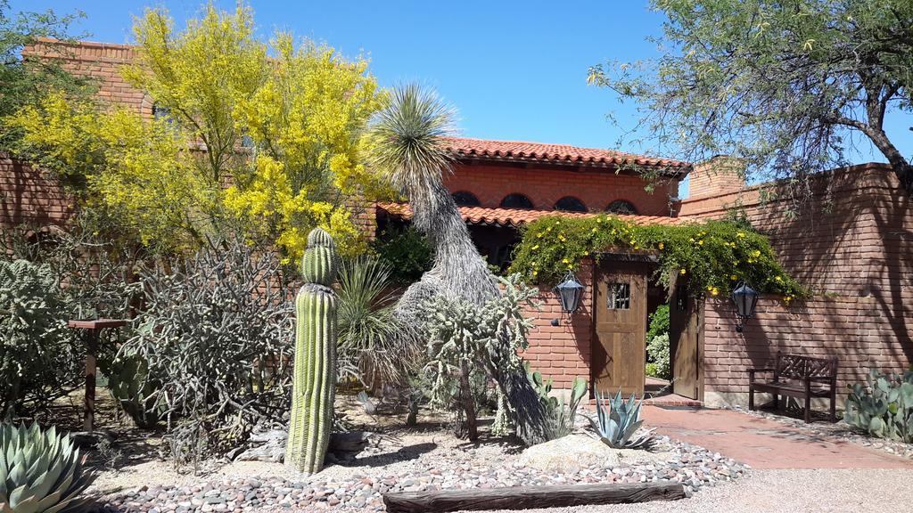Desert Trails Bed&Breakfast Tanque Verde Exterior foto